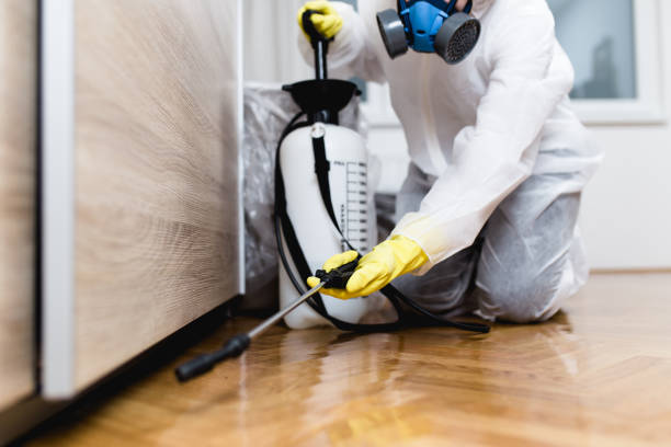 Best Best Pest Control Companies  in Inverness, IL