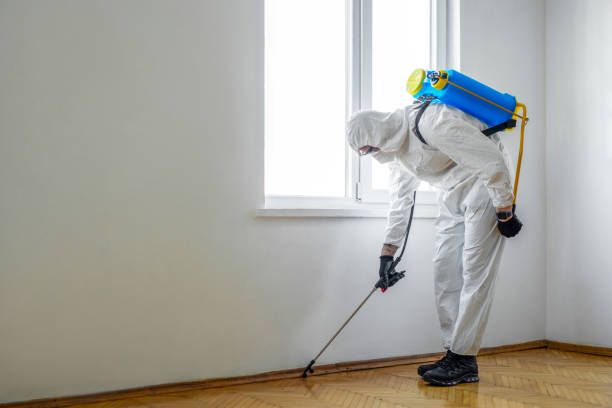 Best Pest Inspection Near Me  in Inverness, IL